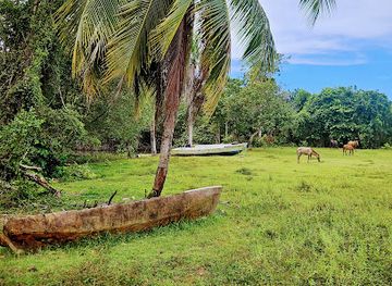 dominican-republic/neiba-valley/landmark/los-haitises-national-park