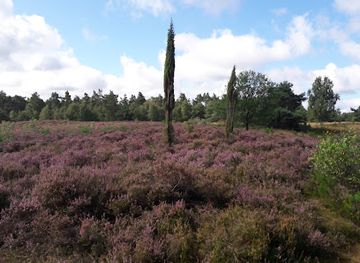 netherlands/veluwe/landmark/landgoed-petrea