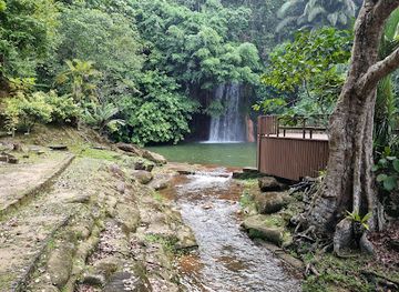 brunei/pulau-selirong-forest-reserve/landmark/tasek-lama-recreational-park