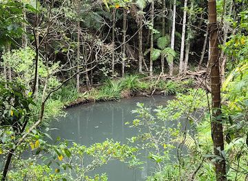 australia/northern-rivers/landmark/woolgoolga-creek
