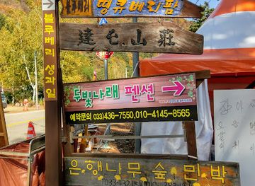 south-korea/gangwon-province/landmark/hongcheon-ginkgo-forest