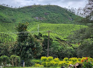 india/munnar/landmark/the-blossom-hydel-park