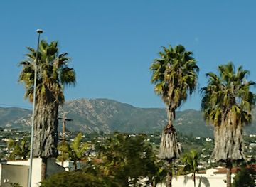 california/santa-barbara/landmark/moreton-bay-fig-tree