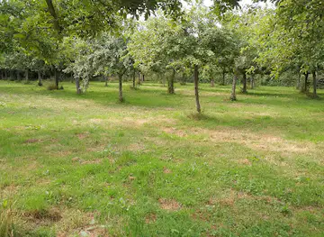The Elms (NTJ)
