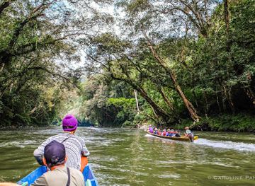 indonesia/north-kalimantan/landmark/betung-kerihun-national-park
