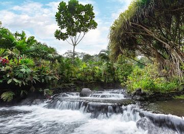costa-rica/limon/landmark/tabacon-hot-springs