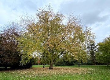 united-kingdom/berkshire/landmark/braywick-nature-centre
