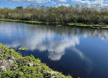 florida/everglades-national-park/landmark/everglades-and-francis-s-taylor-wildlife-management-area-wca-3b