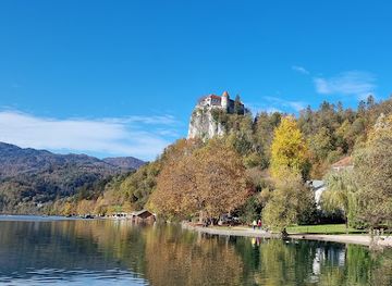 slovenia/central-slovenia/landmark/the-heart-of-bled