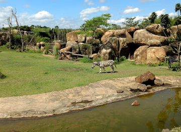 colombia/coffee-axis/landmark/ukumari-park