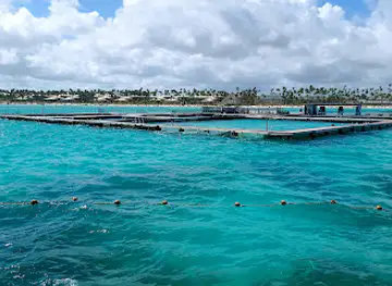 Seaquarium Punta Cana