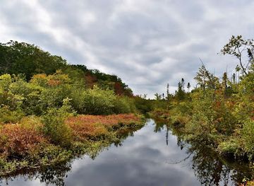 pennsylvania/appalachian-mountains/landmark/tannersville-cranberry-bog-preserve