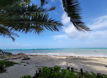 nicaragua/corn-islands/landmark/turned-turtle-bar-and-restaurant