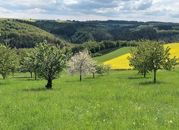 germany/hunsruck/landmark/der-hunsruck