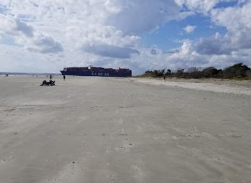 south-carolina/sea-islands/landmark/sullivan-s-island-historic-district