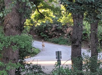 colorado/colorado-springs/manitou-springs/landmark/iron-spring