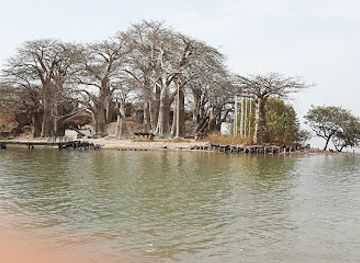 the-gambia/lower-saloum/landmark/kunta-kinteh-island