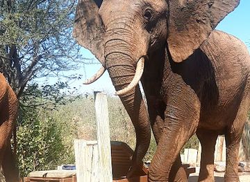 south-africa/lowveld/landmark/lions-place