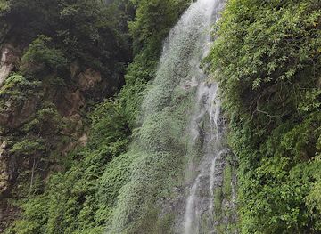 bhutan/dagana-district/landmark/road-side-waterfall