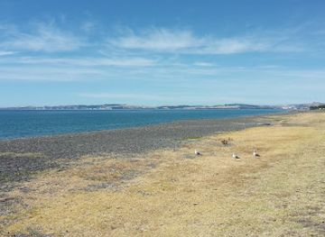 new-zealand/bay-of-plenty/landmark/national-aquarium-of-new-zealand