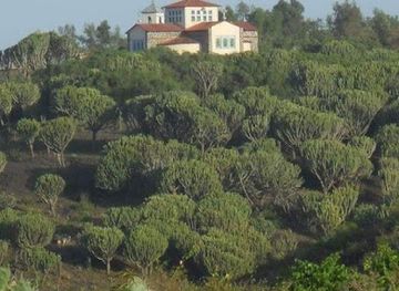 eritrea/adi-quala/landmark/eyamo