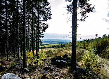 finland/koli-national-park/landmark/koli-garden-and-sculpture-park