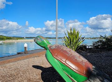 australia/mid-north-coast/landmark/the-big-turtle