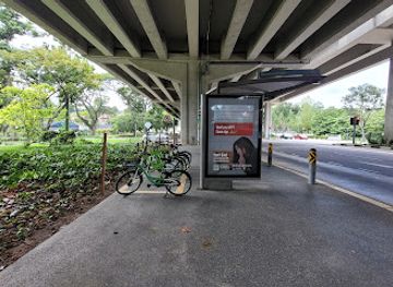 singapore/macritchie-reservoir/landmark/opp-macritchie-reservoir
