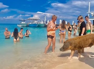 the-bahamas/nassau-and-paradise-island/landmark/da-pig-beach-nassau-bahamas-departures-only