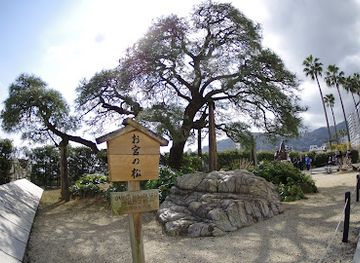 japan/iki/landmark/omiya-green-space