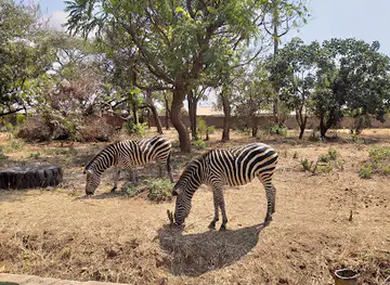 Munda Wanga Environmental Park