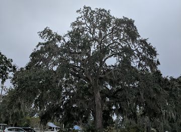 south-carolina/sea-islands/landmark/cypress-wetlands