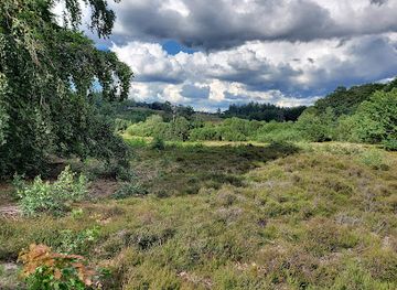 netherlands/sallandse-heuvelrug-national-park/landmark/lemelerberg