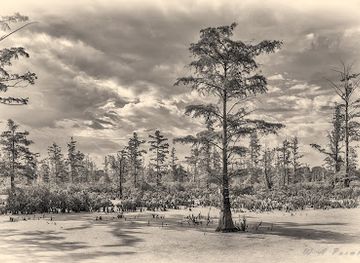 illinois/southern-illinois/landmark/cypress-creek-national-wildlife-refuge