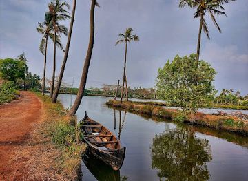india/kerala-backwaters/landmark/kumbalanghi-view-point