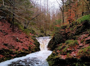 belgium/ardennes-mountains/landmark/cascade-leopold-ii