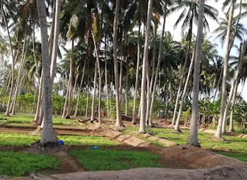 oman/dhofar-region/landmark/abdurahman-samiri-sulthan-of-malabar