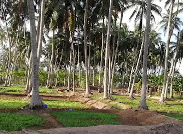 Abdurahman Samiri Sulthan of malabar