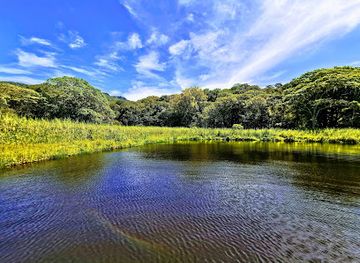 nicaragua/san-juan-river-basin/landmark/laguna-la-bruja