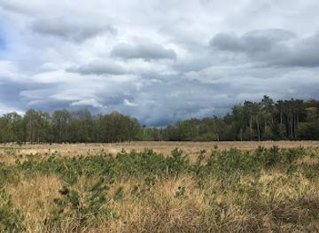 netherlands/drenthe-province/landmark/drents-friese-wold-national-park