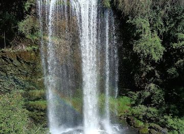 chile/araucania-region/landmark/cascada-chufquen
