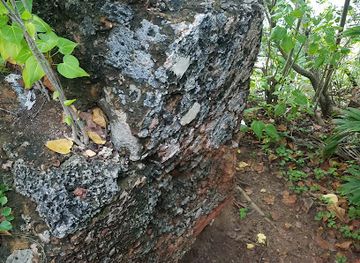 puerto-rico/san-juan/landmark/ruinas-de-la-2da-linea-de-defensa