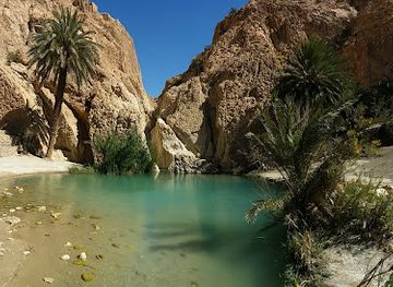 tunisia/tamerza/landmark/tamaghza-oasis