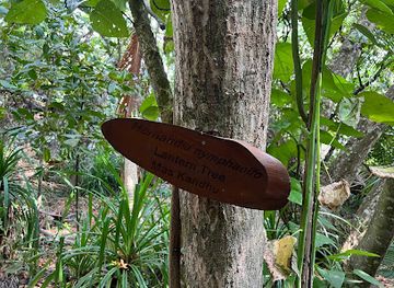 maldives/baa-atoll/landmark/forest-walk-dhigali-maldives