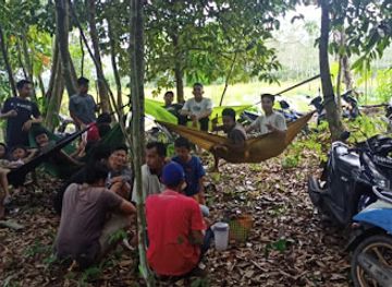 indonesia/kalimantan/landmark/situs-pohon-ramania-100thn