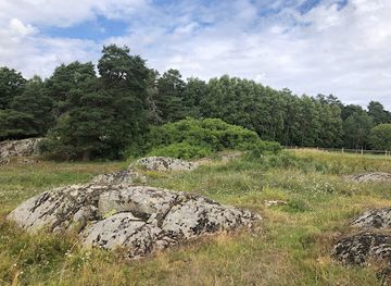 sweden/uppland/landmark/upplands-runinskrifter-898