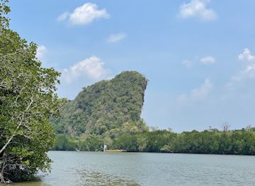 thailand/krabi/landmark/mangrove-walkway
