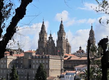 spain/santiago-de-compostela/landmark/eucalipto-centenario
