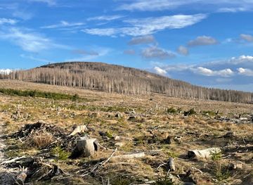 germany/harz-mountains/landmark/harz