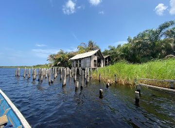 ghana/nzema/landmark/nzulezo-the-village-on-stilts